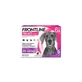 Frontline Tri-Act 20-40Kg, 6 pipettes