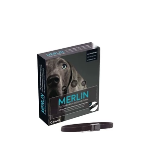 Merlin 65 cm collar 1 piece