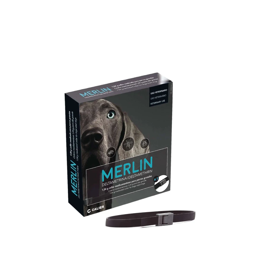 Merlin 65 cm collar 1 piece