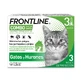 Frontline Combo cats and ferrets 3 pipettes x 0.5 ml
