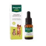 Stangest Dermovital Druppels Ω3 en Ω6 15 Ml