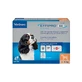 Effipro Duo Spot-On Petit Chien 2-10Kg, 4 pipettes