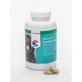 Covetrus Nutricarevet Gastric Supplement for Dogs, 85Cpd