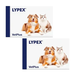 Lypex Blisterverpakking, 2 x 60 capsules