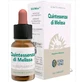 Forza Vita Melisse Quintessence, 10 Ml