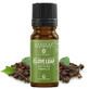 Pure Cornflower essential oil, 10 ml ,M-1328, Mayam