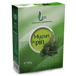 Thé aux bourgeons de pin, 50 g, Larix