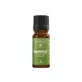 Ätherisches Öl Grapefruit, 10 ml, Mayam