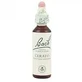 Bach Cerato 20 ml