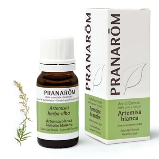 Pranarom Artemisa aceite esencial blanco, 10ml
