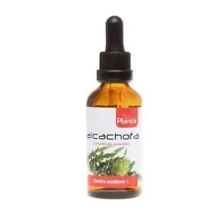 Artesania Ext.Artisjok 50Ml Master Herbarium