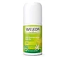 Weleda Fresh 24 H Citrus Roll-On Deodorant 50 ml