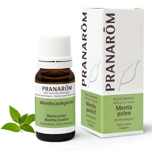 Pranarom Pennyroyal Pfefferminz ätherisches Öl, 10ml