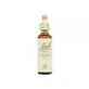 Brezo de Bach 20 Ml