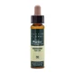 Artesania Vervain Plantis Bach Flowers No. 31 10Ml.