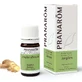 Pranarom Ingwer ätherisches Öl, 5ml