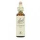 Bach Carpe 20 ml