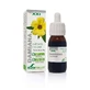 Soria Natuurlijk Damiana Extract S Xxi, 50 Ml