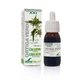 Soria Natuurlijk Groene Brandnetelextract S Xxi, 50 ml