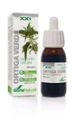 Soria Natural Green Nettle Extract S Xxi, 50 Ml