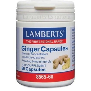 Lamberts Gember 60 Capsules