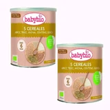 Babybio 5 Biologische Granen +6m, verpakking 2 x 220g