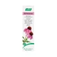 A.Vogel Echinacea Cream 35 g