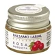 Esential Aroms Baume à lèvres Rosehip 5Gr