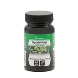Plameca Capsudiet Fenchel , 40 Kapseln