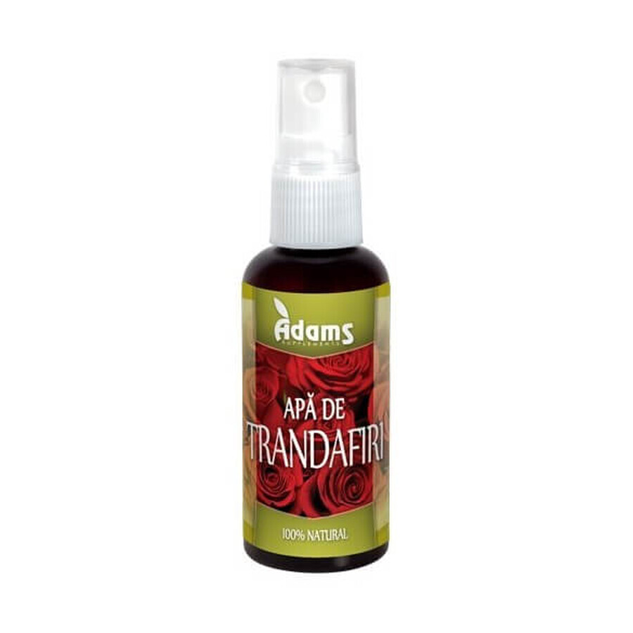 Buy Rose water, 50 ml, Adams Vision Rose water, 50 ml, Adams Vision