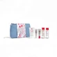 Erborian Discovery Kit Farma Dore