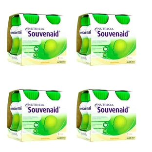 Nutricia Souvenaid Smoothies with vanilla flavor 16 units x 125 ml