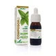 Soria Natural Composor 13 Oxiur S Xxi, 50 Ml