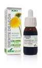 Soria Natural Extrait de Pissenlit S Xxi, 50 Ml