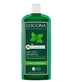 Logona Melissa Anti-Greasy Shampoo 250Ml. Bio