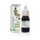 Soria Natural Extracto de Gayuba S Xxi, 50 Ml