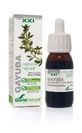 Soria Natural Extracto de Gayuba S Xxi, 50 Ml