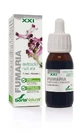 Soria Natural Extracto de Fumaria S Xxi, 50 Ml