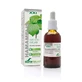 Soria Natural Extracto de Castaño de Indias S. Xxi, 50ml