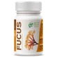 Ghf Fucus 500Mg. 100 Tabletten