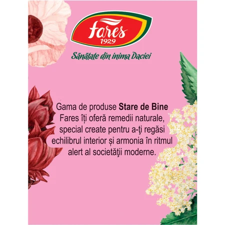 Silueta Perfectă 1 Thee, zuivering en drainage M123, 20 zakjes, Fares