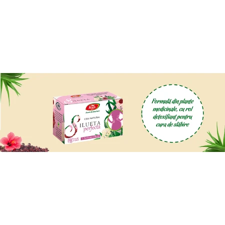 Silueta Perfectă 1 Thee, zuivering en drainage M123, 20 zakjes, Fares