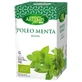 Artemisbium Pennyroyal Mint Eco , 20 filters