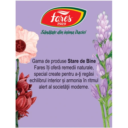 Té para el control del peso Silueta Perfecta 2 M124 20 sobres, Fares