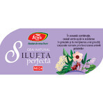 Ceai Silueta Perfecta 2 controlul greutatii M124 20 plicuri, Fares 