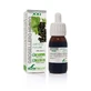 Soria Natural Black Currant Extract S Xxi, 50 Ml