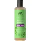 Urtekram Champú Aloe Vera cabellos normales 250Ml. Eco Vegano
