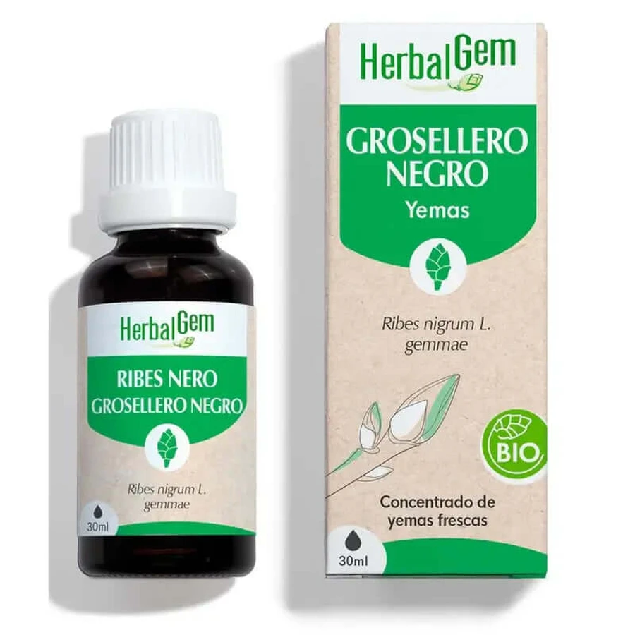 Herbalgem Grosella Negra, 30ml