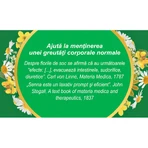 Sveltaflor tea, M98, 50 g, Fares