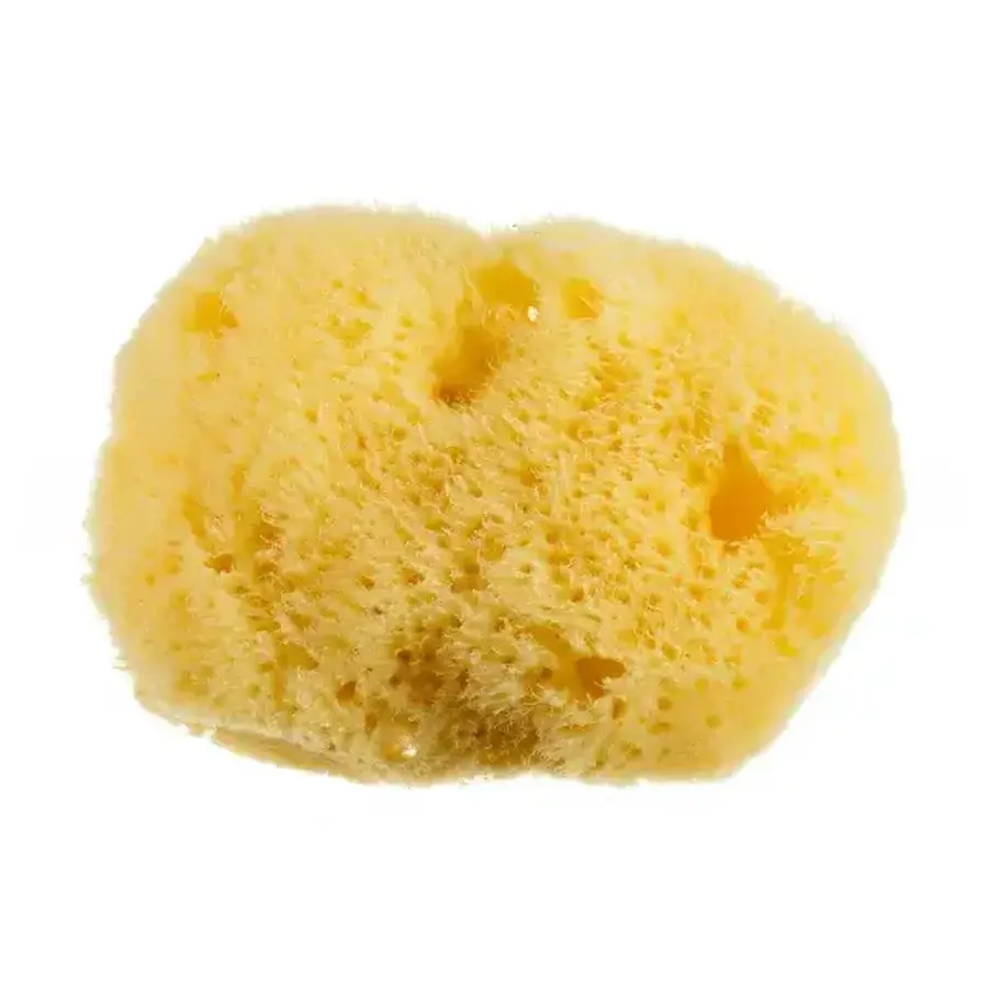 Comprar Sabio esponja limpiadora piel natural Sabio esponja limpiadora piel natural